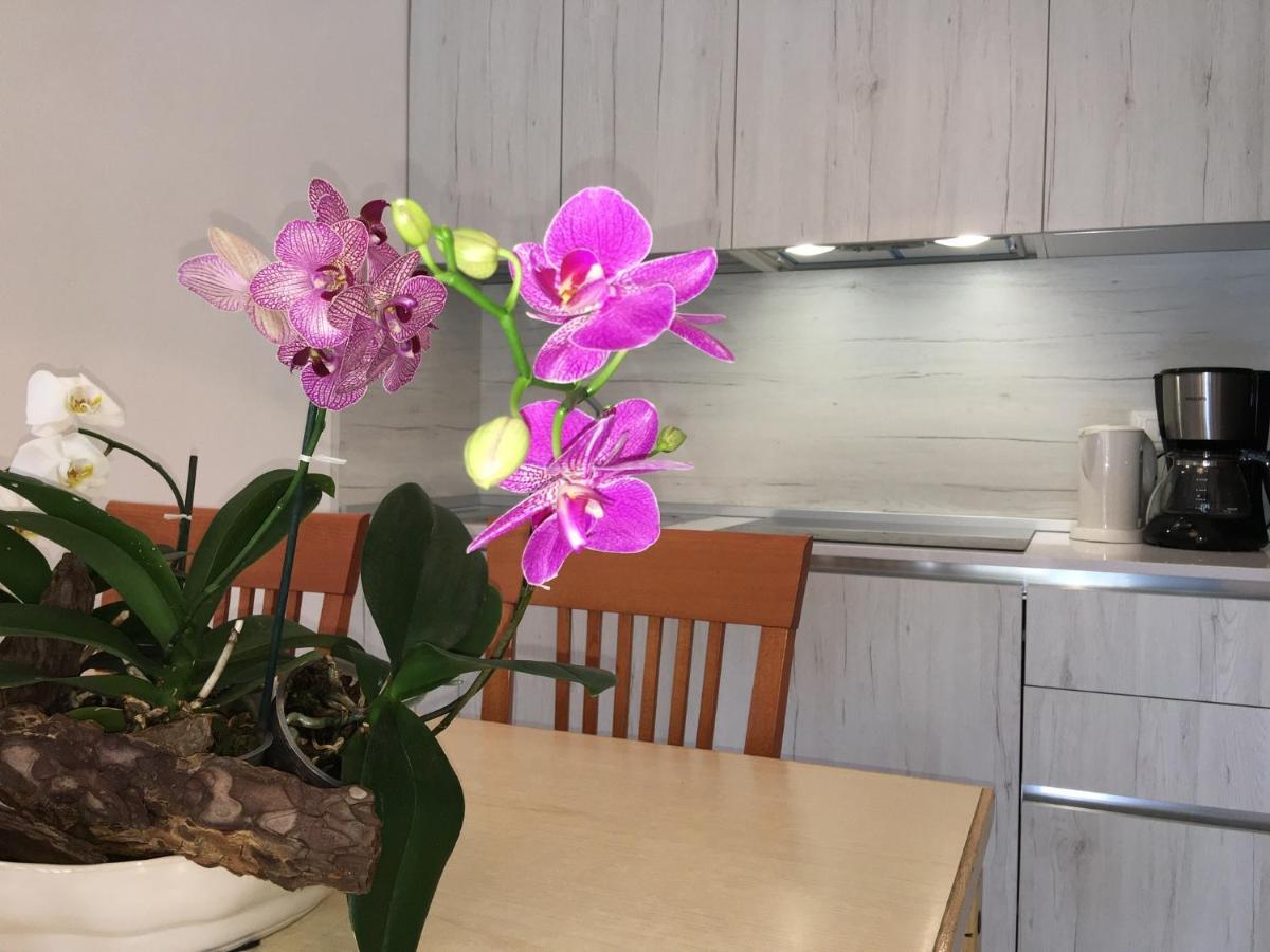 Casa Eva Apartment Bibione Bagian luar foto